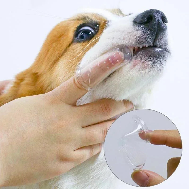 Super Soft Pet Finger Toothbrush Dog Brush Tartar Teeth Care - DJW Trend Furniture-Home Goods