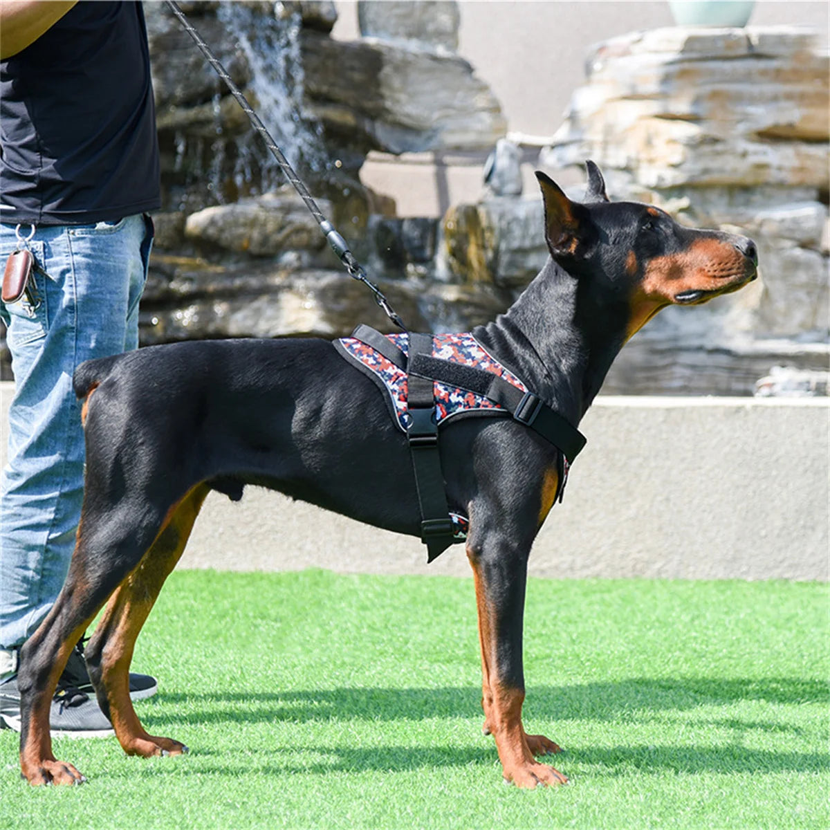 Reflective Chest Adjustable Harness