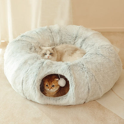 Cat House