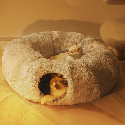 Cat House